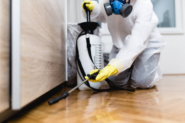 Best Affordable Pest Control Services  in Mentone, IN