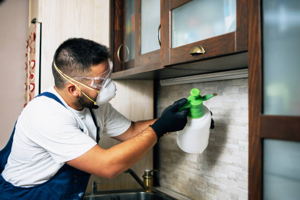 Best Pest Control Near Me  in Mentone, IN