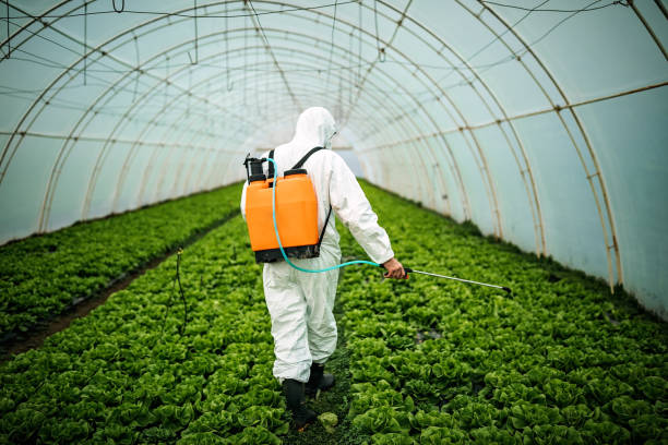 Best Pest Inspection Near Me  in Mentone, IN