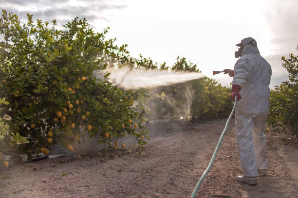 Best Commercial Pest Control Services  in Mentone, IN