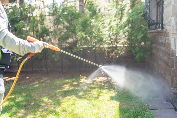 Bird Control in Mentone, IN