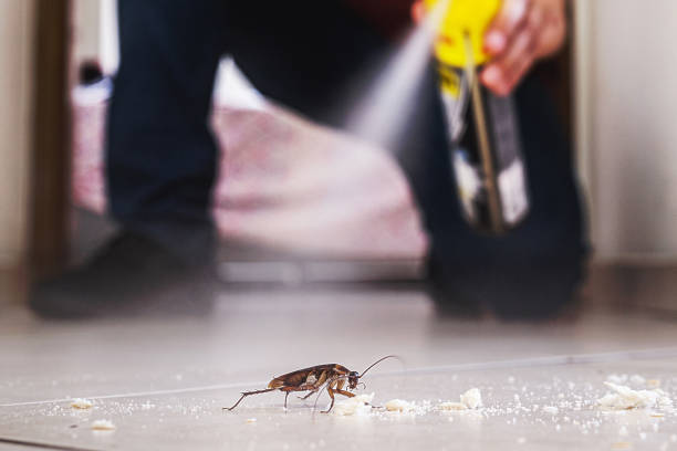 Best Best Pest Control Companies  in Mentone, IN