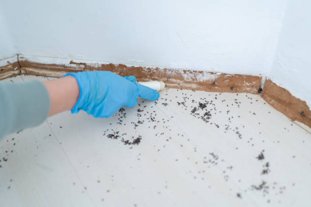 Best Mosquito Control Services  in Mentone, IN